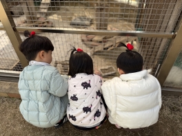 [바깥놀이] 토끼야 놀자~