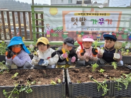 [식목일] 모종심기