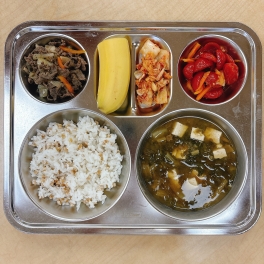 7월 8일 수요일