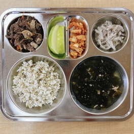 8월 5일 수요일